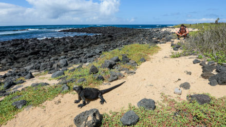 Galapágy