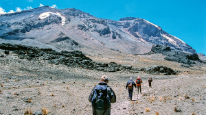 kilimanjaro-3