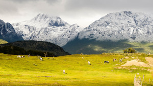 Ushuaia/Argentina