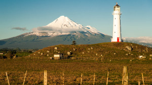 zeland-7